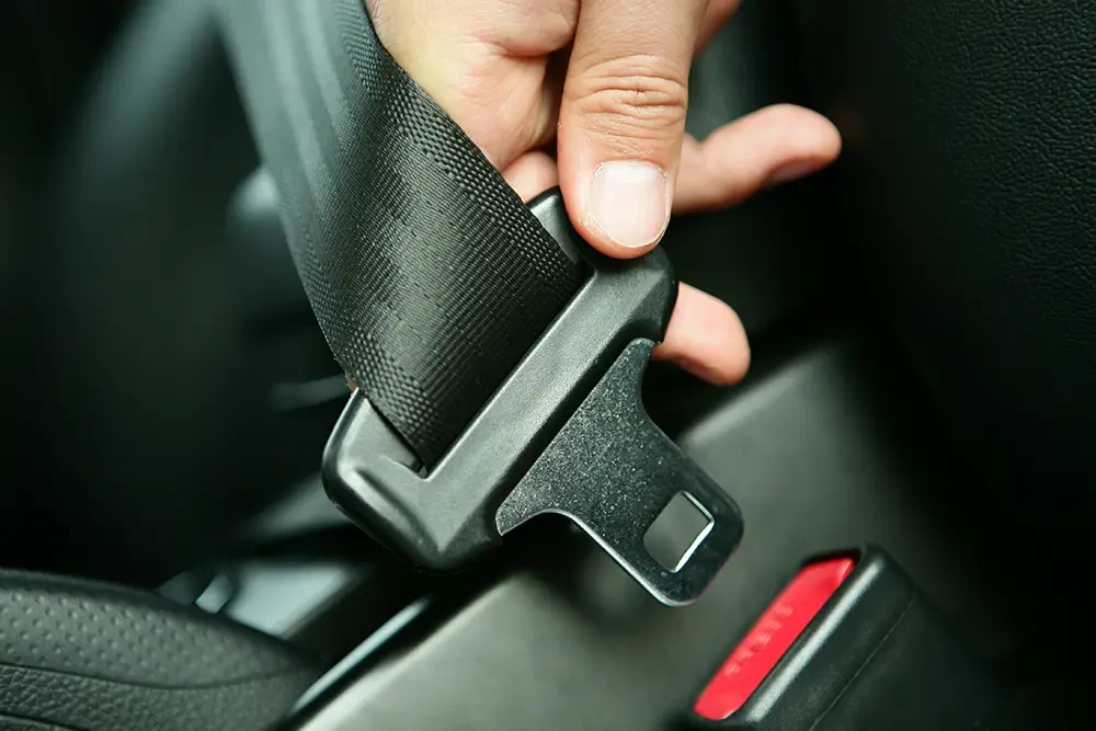 Image of Seat Belt